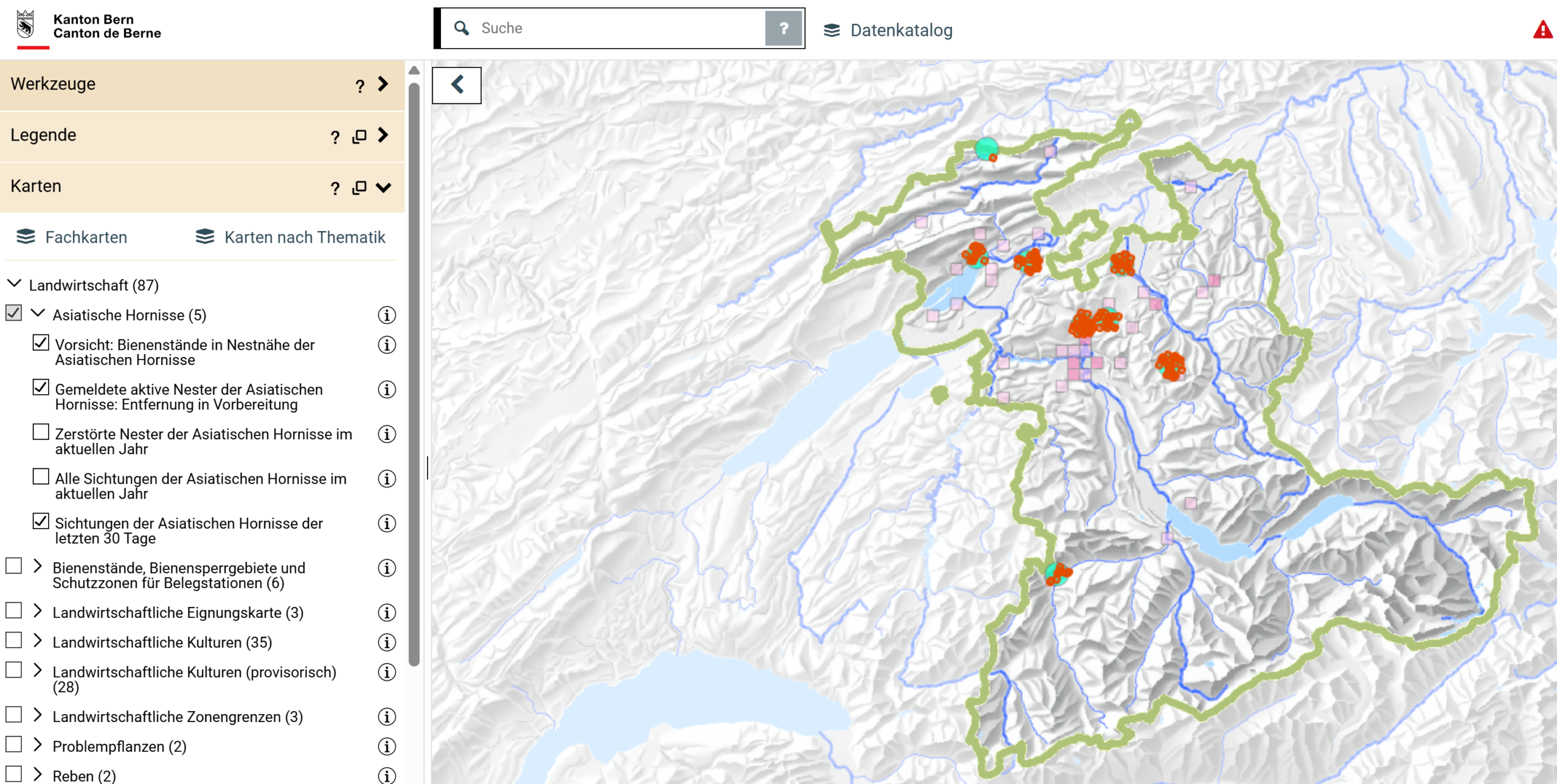 Die Asiatische Hornisse im Geoportal